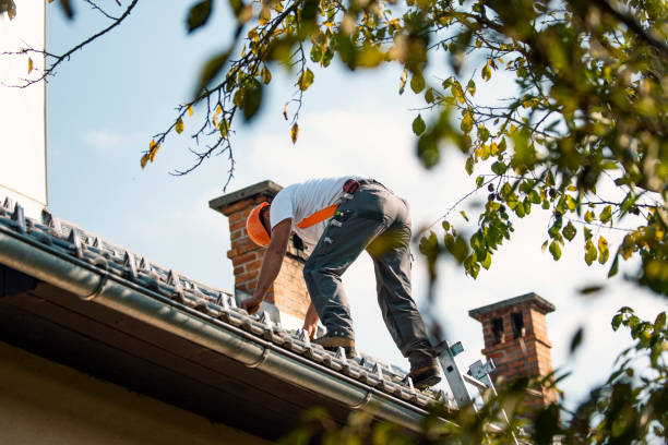 Best Roof Gutter Cleaning  in Lenox, IA