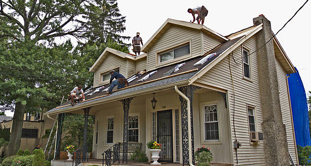Best Storm Damage Roof Repair  in Lenox, IA